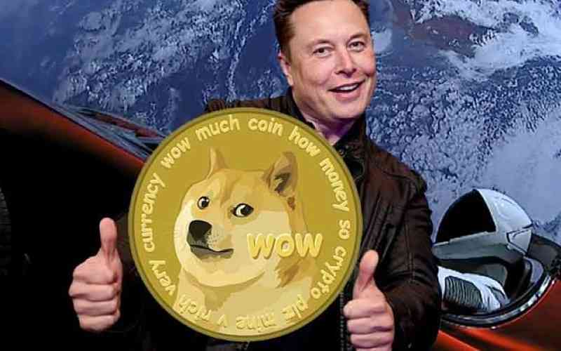 Dogecoin Betting in South Africa: Fun Facts Every Gambler Should Know
