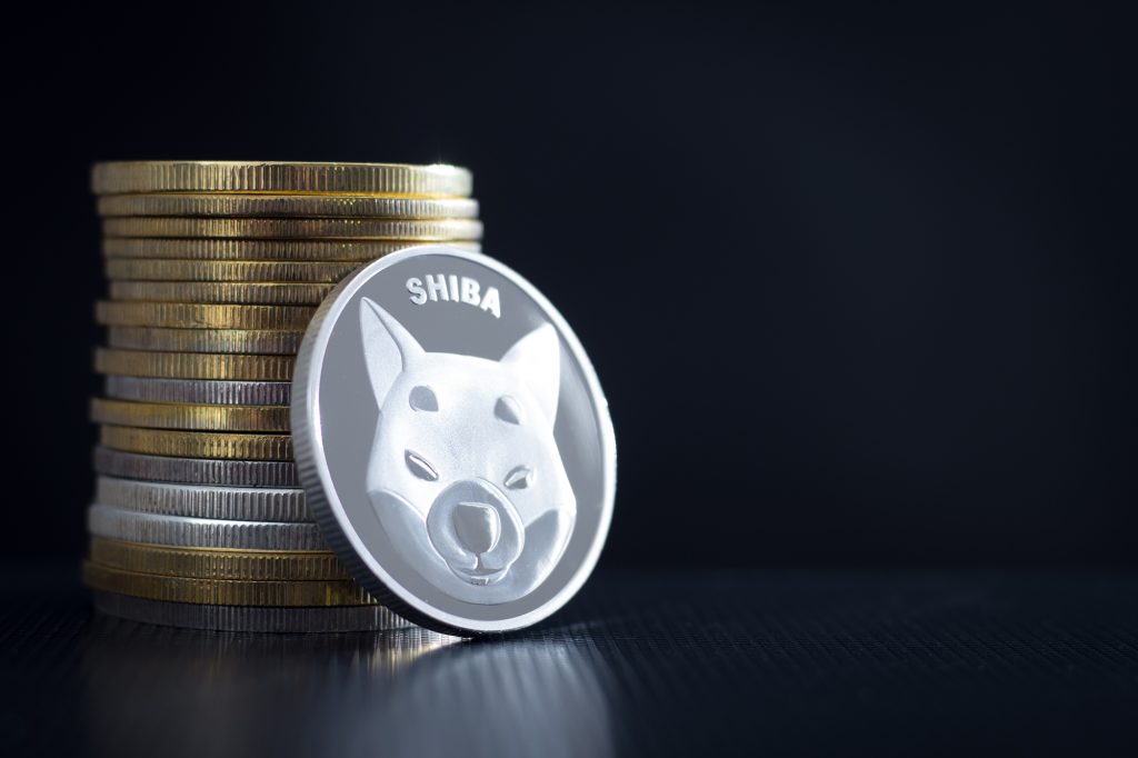 Shiba Inu Betting in South Africa: Opportunities and Risks to Consider